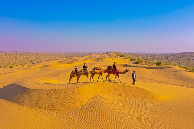 Desert Safari in Sam Sand Dunes